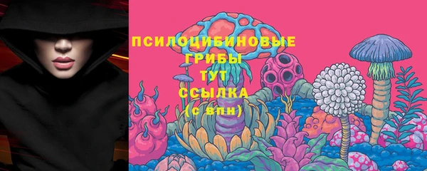 СК Верхний Тагил