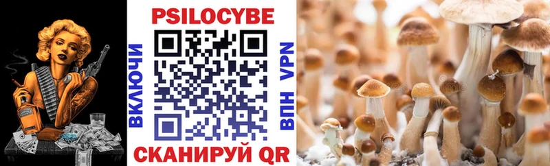 купить  цена  Лосино-Петровский  Галлюциногенные грибы мицелий 